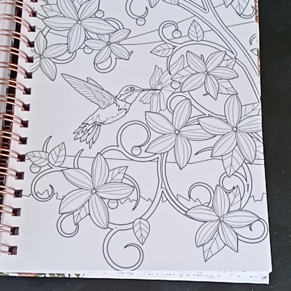 Devotional Coloring Book with Spiral Bound Text And Pictures 312 Pages - Picture 5 of 8